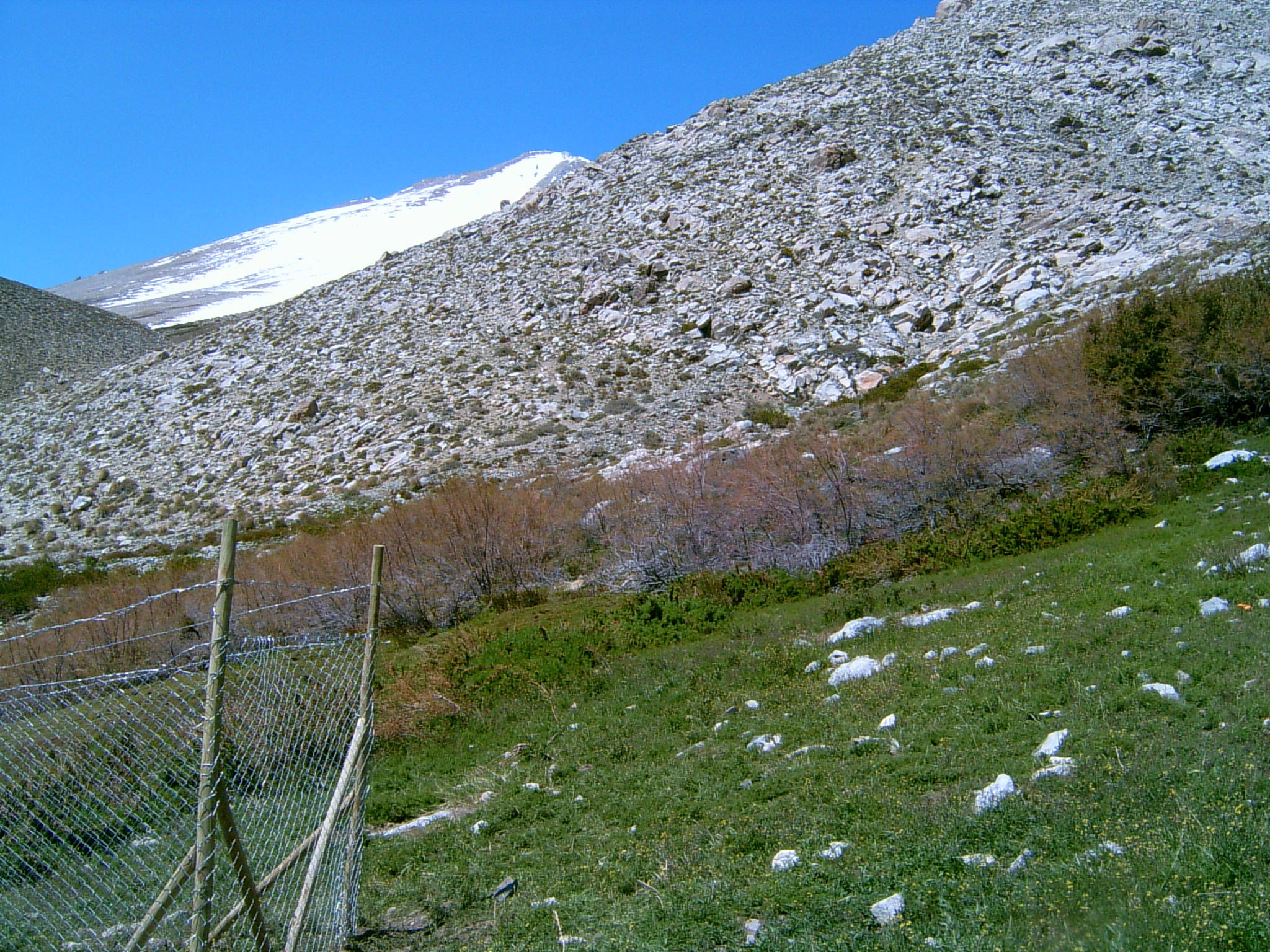 exif jpeg 422